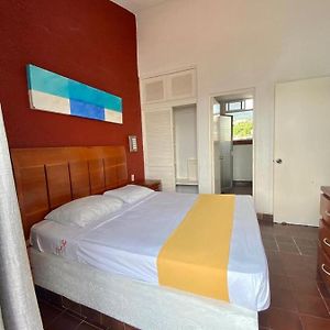 Suite Estándar